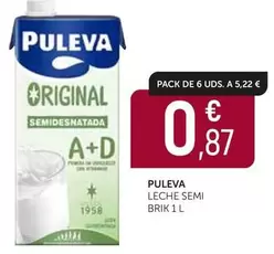 Puleva - Leche Semi Brik