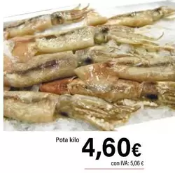 Pota 