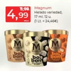 Magnum - Helado Variedad