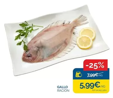 Gallo - -