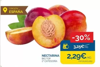 origen - Nectarina Big Top