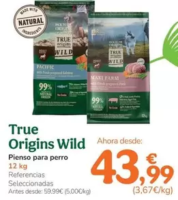 True Origins - Wild Pienso Para Perro