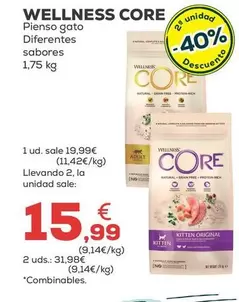 Wellness Core - Pienso Gato