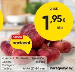 origen - Paraguayo