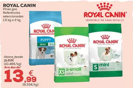 Royal Canin - Pienso Perro