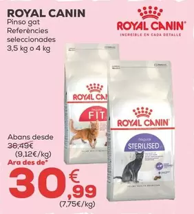 Royal Canin - Pienso Gato
