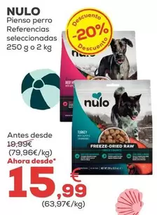Nulo - Pienso Perro