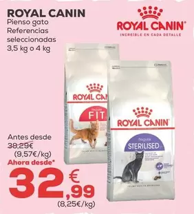 Royal Canin - Pienso Gato