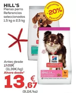 Hill's - Pienso Perro