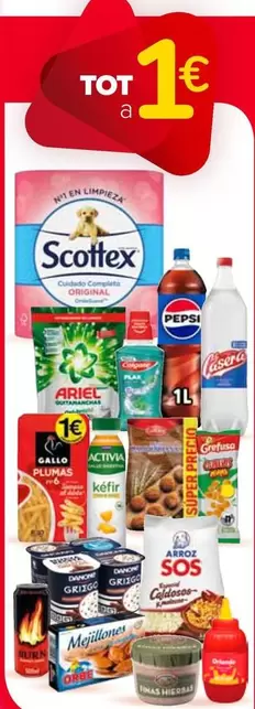 Scottex - Abri De L'avizante