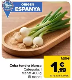 origen - Ceba Tendria Blanca