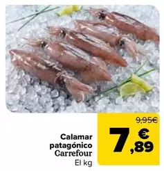 carrefour - Calamar Patagonico