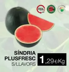 Plusfresc - Síndria