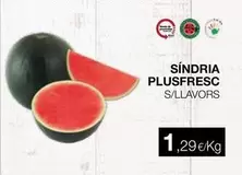 Sndria Plusfresco