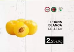 Pruna Blanca
