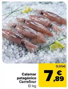 Carrefour - Calamar Patagónico 