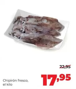 Chipirón Fresco