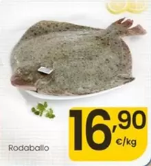 Rodaballo