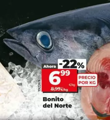 Bonito Del Norte