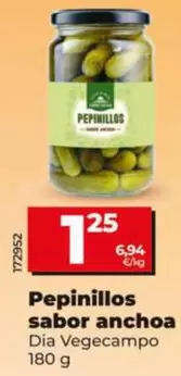 Dia Vegecampo - Pepinillos Sabor Anchoa