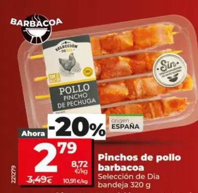 Seleccion De Dia - Pinchos De Pollo Barbacoa