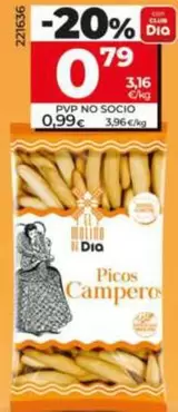 El Molino De Dia - Picos Camperos 
