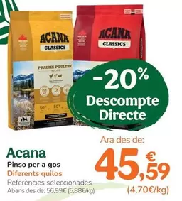 Acana - Pienso Para Perro