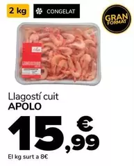 Apolo - Llagosti Cuit