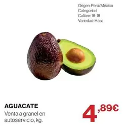 origen - Aguacate