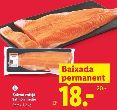 Salmon Medio