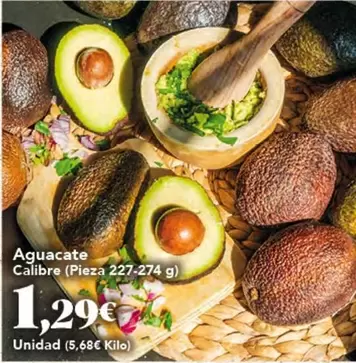 Aguacate Calibre