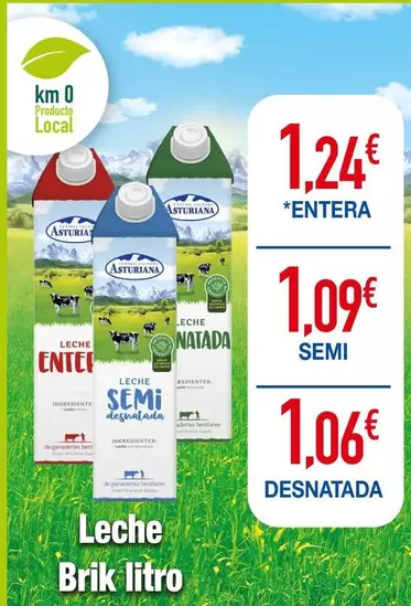 La Asturiana - Leche Brik Litro