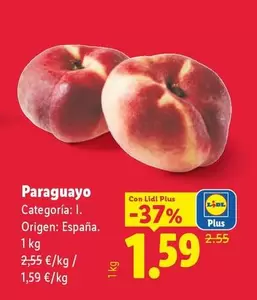 Paraguayo