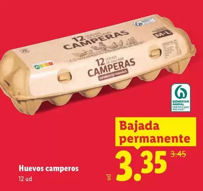 Huevos Camperos