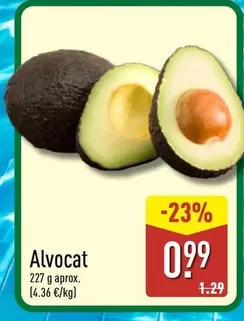 Alvocat