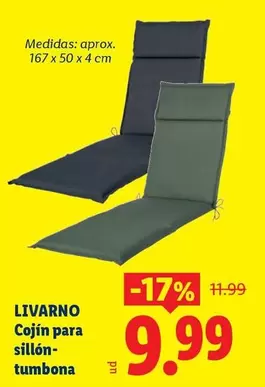 Livarno - Cojin Para Sillón/Tumbona