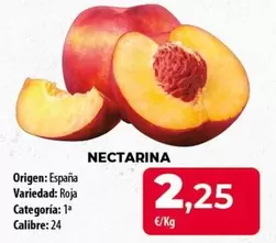 origen - Nectarina