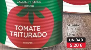 Orlando - Tomate Triturado