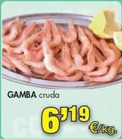 Gamba Cruda