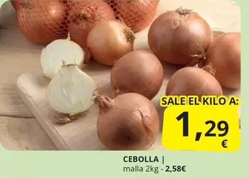 Cebolla