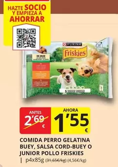 Purina - Comida Perro Gelatina Buey, Salsa Cord-Buey O Junior Pollo Friskies