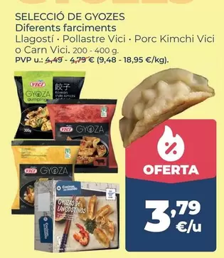 VICI - Seleccio De Gyozes