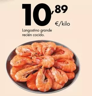 Langostino Grande Recién Cocido