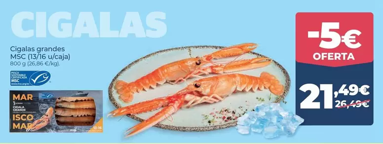 Isco - Cigalas Grandes Msc