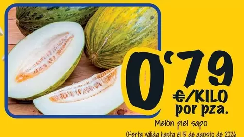 Melon Piel Sapo