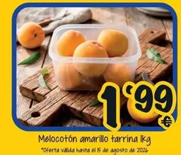 Melocoton Amarillo Tarrina