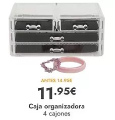 Caja Organizadora