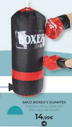 Saco Boxeo Y Guantes