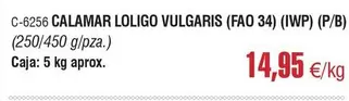 C-6256 Calamar Loligo Vulgaris (Fao 34) (ivp)