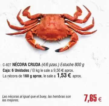 el buey - Necora Cruda